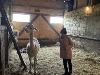 448354248_444127285066850_5132945654293602695_n